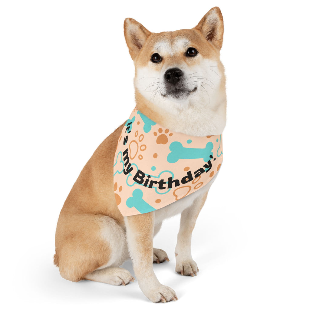 Birthday Bandana Collar – ParlourPaws